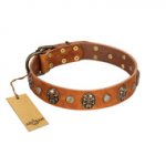 "Call of Feat" FDT Artisan Tan Leather Riesenschnauzer Collar with Old Bronze-like Studs and Oval Brooches