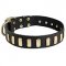 Fancy Leather Riesenschnauzer Collar with Brass Plates