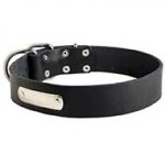 Classic Leather Riesenschnauzer Collar with Identification Tag