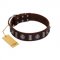 "Spiky Way" FDT Artisan Brown Leather Riesenschnauzer Collar with Silver-Like Decorations