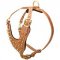 Brass Spiked Leather Riesenschnauzer Harness for Fashion Walking