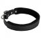 Padded Leather Riesenschnauzer Collar 25 mm for Dog Training