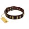 "Peace and Harmony" FDT Artisan Brown Leather Riesenschnauzer Collar with Plates
