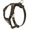 Studded Leather Riesenschnauzer Puppy Harness