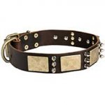 Designer War-Style Leather Riesenschnauzer Collar with Spikes and Plates