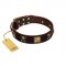 "Crazy Pirate" FDT Artisan Brown Leather Riesenschnauzer Collar with Old Bronze-Plated Skulls and Plates