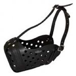 Easy Adjustable Leather Riesenschnauzer Muzzle for Agitation Training