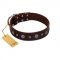 "Pure Sensation" Exclusive FDT Artisan Brown Leather Riesenschnauzer Collar with Fancy Brooches and Studs
