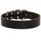 Wide Leather Riesenschnauzer Collar for Training and Walking