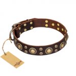 "Flower Melody" FDT Artisan Brown Leather Riesenschnauzer Collar with Mixed Studs