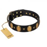 "Doggie Woggie" Designer Handmade FDT Artisan Black Leather Riesenschnauzer Collar with Ovals and Studs