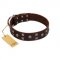 "Brown Shadow" Designer Handmade FDT Artisan Brown Leather Riesenschnauzer Collar