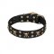 "Jolly Rojer" FDT Artisan Leather Riesenschnauzer Collar with Pirate Skulls and Studs - 1 1/2 inch (40 mm) wide