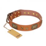 "Cosmic Traveller" FDT Artisan Adorned Leather Riesenschnauzer Collar with Old Bronze-Plated Stars and Plates