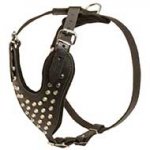 Adjustable Leather Riesenschnauzer Harness Studded for Fashion Walking