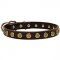 Leather Riesenschnauzer Collar with Brass Dotted Circles for Fashion Walking