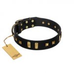 "Fit for Royalty" FDT Artisan Black Leather Riesenschnauzer Collar with Plates and Small Square Studs