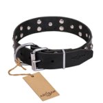 "Mystic Skulls" Decorated Leather Riesenschnauzer Collar with Skulls and Studs