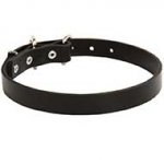 Riesenschnauzer Leather Dog Collar 1 inch Wide