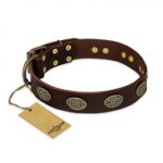 "Chocolate kiss" FDT Artisan Leather Riesenschnauzer Collar with Old Bronze Look Oval Plates