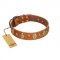 "Venus Breath" FDT Artisan Tan Leather Riesenschnauzer Collar with Vintage Looking Oval and Round Studs
