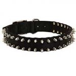 Riesenschnauzer Nylon Collar Spiked