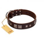 "Object of Virtu" FDT Artisan Brown Leather Riesenschnauzer Collar with Old Silver-like Square Studs and Pyramids