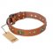 "Stunning Dress" FDT Artisan Tan Leather Riesenschnauzer Collar with Old Bronze Look Plates and Studs