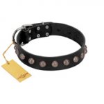 "Bizarre Affection" Designer Handmade FDT Artisan Black Leather Riesenschnauzer Collar