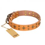"Top-Flight" FDT Artisan Adorned Tan Leather Riesenschnauzer Collar