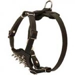 Durable Spiked Leather Puppy Riesenschnauzer Harness