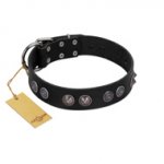 "Silver Medallions" Mod FDT Artisan Black Leather Riesenschnauzer Collar with Round Plates