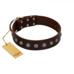 "Spring Flower" Stylish FDT Artisan Brown Leather Riesenschnauzer Collar for Comfy Walks