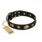 "Eye-Catcher" FDT Artisan Black Leather Riesenschnauzer Collar for Walking in Style