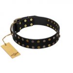 "Star Way" FDT Artisan Black Leather Riesenschnauzer Collar with Bronze-like and Silver-like Star Studs