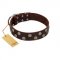 "Shadow Warrior" FDT Artisan Mystic Brown Leather Riesenschnauzer Collar with Runes