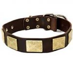 Handcrafted Leather Riesenschnauzer Collar With Vintage Massive Plates