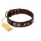 "Object of Virtu" FDT Artisan Brown Leather Riesenschnauzer Collar with Old Silver-like Square Studs and Pyramids