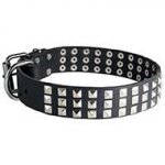 Leather Riesenschnauzer Collar with 3 Rows of Nickel Pyramids
