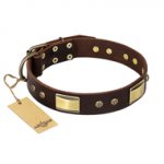 "Rich Fashion" FDT Artisan Decorated Leather Riesenschnauzer Collar with Plates and Studs