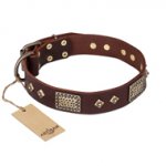 "Loving Owner" FDT Artisan Decorated Leather Riesenschnauzer Collar with Plates and Studs