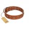 "Dreamy Gleam" FDT Artisan Tan Leather Riesenschnauzer Collar Adorned with Stars and Squares