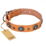 "Twinkle Twinkle" FDT Artisan Incredible Studded Tan Leather Riesenschnauzer Collar