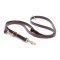 Multipurpose Brown Biothane Riesenschnauzer Leash for over 7 Different Activities