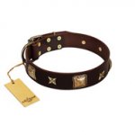 "Choco Dreams" FDT Artisan Brown Leather Riesenschnauzer Collar with Squares and Stars