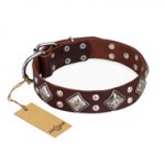 "King of Grace" FDT Artisan Stylish Leather Riesenschnauzer Collar with Old Silver-Like Plated Decorations