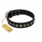 "Black Eagle" Handcrafted FDT Artisan Black Leather Riesenschnauzer Collar with Silver-Like Adornments