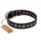 "Victory Ode" FDT Artisan Brown Leather Riesenschnauzer Collar with Silver-like Plated Decorations