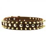 Spiked and Studded Riesenschnauzer Leather Collar