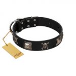 "Sea Rover" Embellished FDT Artisan Black Leather Riesenschnauzer Collar with Chrome Plated Crossbones and Plates